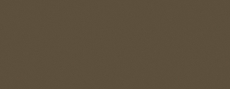 20 0312-pruun-metallik